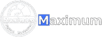 Digital Marketing Maximum logo